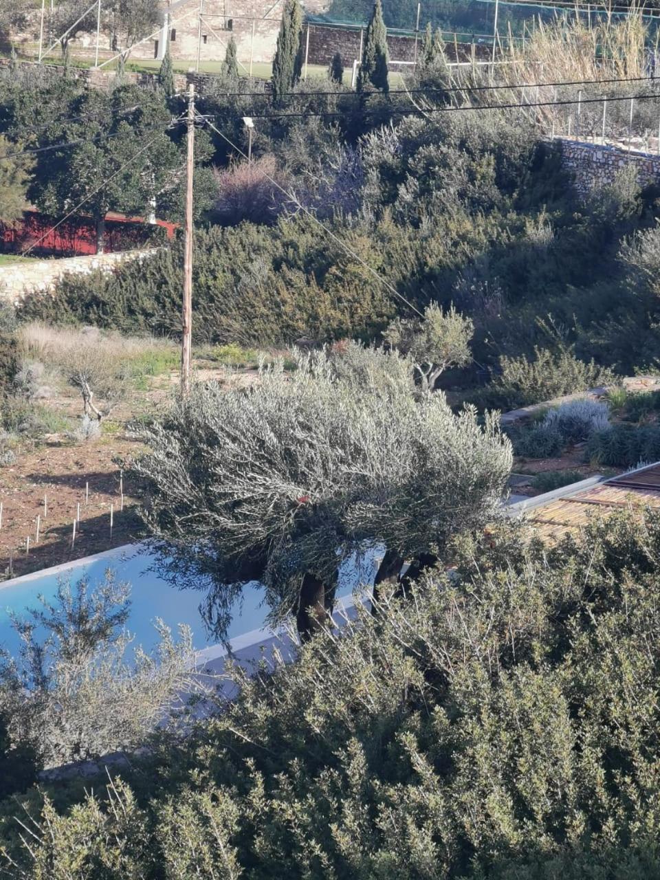 Olithos Villas Krotiri Buitenkant foto